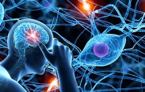 Autonomic Nervous System Disorders: Symptoms And Treatment