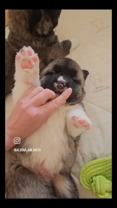 Сладкий малыш 😍 - YouTube