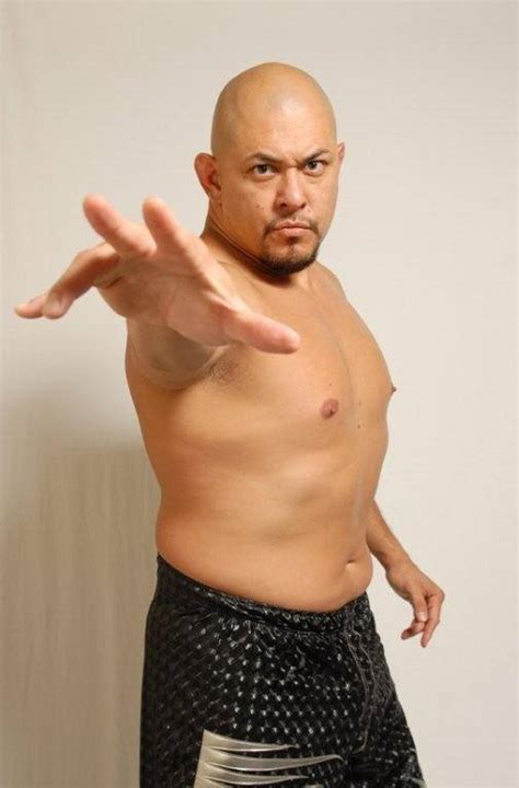 taiyo kea puroresu system wiki fandom