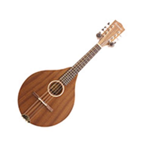 Eastman MD604BD Mandolin Stringed Folk Instruments - Scayles Music
