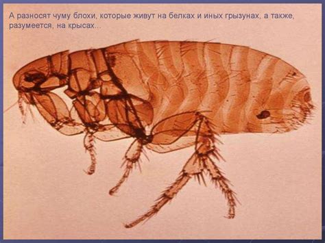 Глобальные проблемы здоровья человечества - презентация онлайн