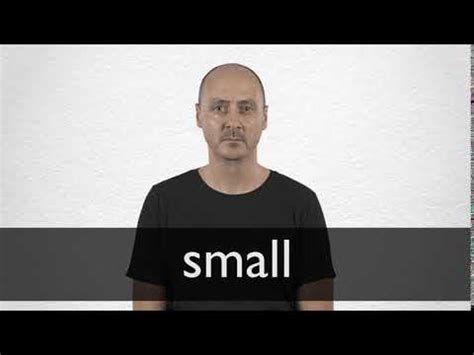 small definition  meaning collins english dictionary