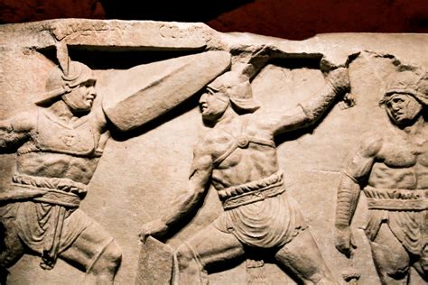 Bite Marks And Carnage: First Physical Evidence Of Gladiator Animal