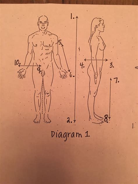 Directional Terms Diagram | Quizlet