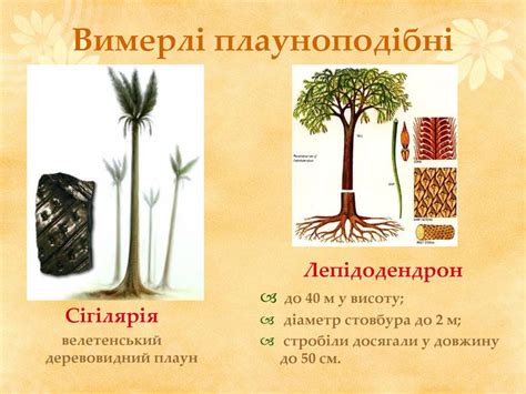 Презентація "Плауноподібні рослини"