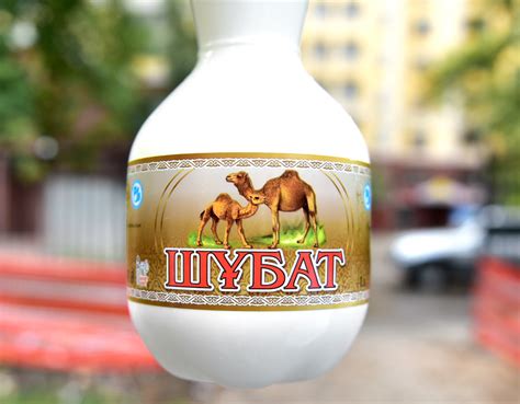 Shubat, Central Asian Fermented Camel's Milk | Food Perestroika