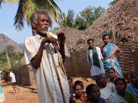 evict tribals  tiger reserves   consent ncst