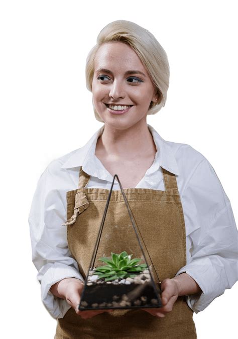 abc professional tree service 3