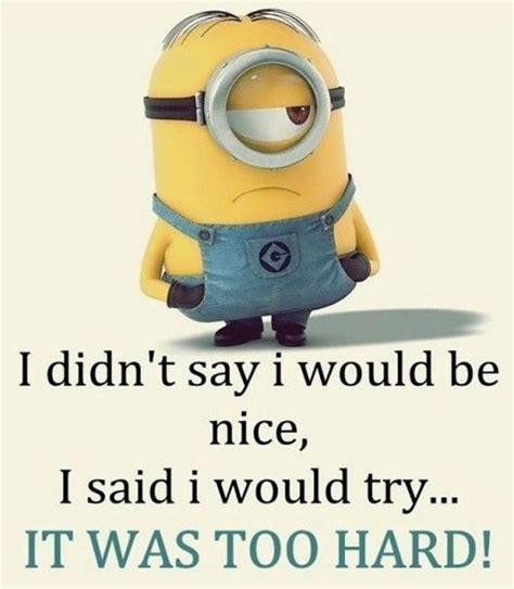 funny minions quotes   week dreams quote