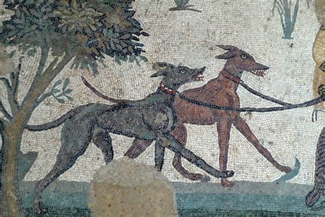 Mosaic with dogs. historum website | Greyhound Art in 2019 | Mosaicos ...