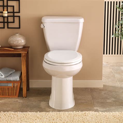 How to Buy the Best Toilet for Your Home | Family Handyman