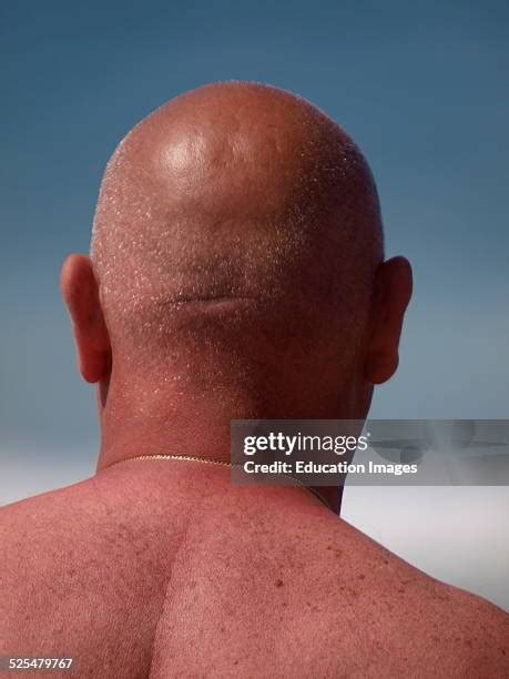 bald headed   premium high res pictures getty images