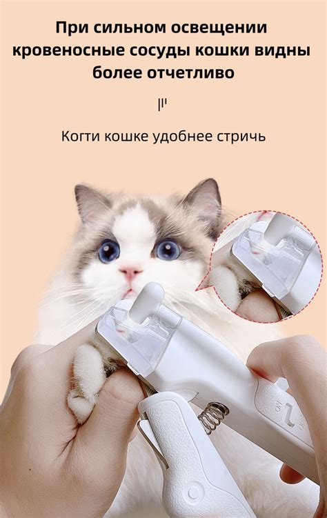 Кусачки для когтей, которые могут использовать кошки и собаки любого ...