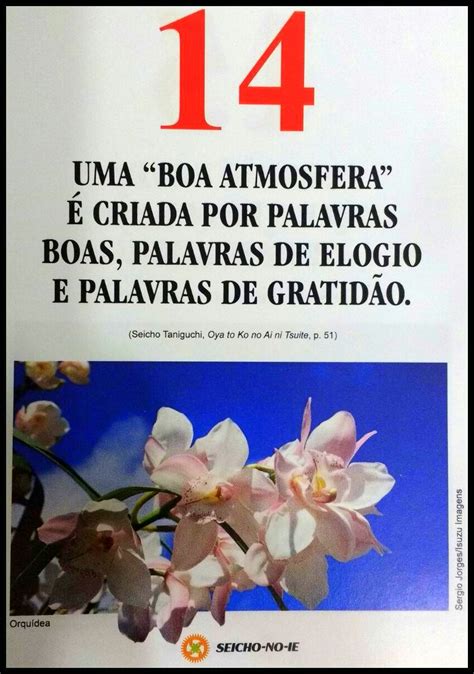 O Que São Preceitos