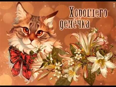 #рекиии#shorts. Всех люблю 💗🐼 - YouTube