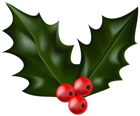 holly clipart vector 10 free Cliparts | Download images on Clipground 2025