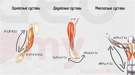 Общая артрология - YouTube