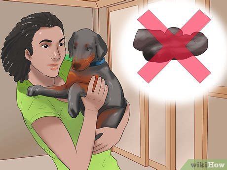 how to prevent parvovirus in dogs