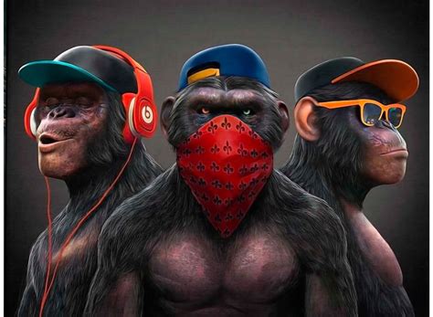 Gang Monkey's