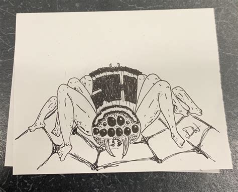 Spider legs : r/doodles