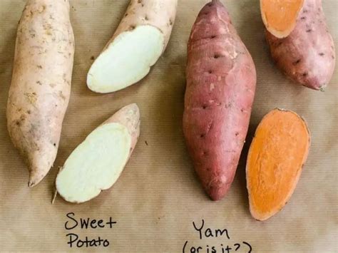 Yam vs Sweet Potato: What Is The Difference? - Grocery Store Dive