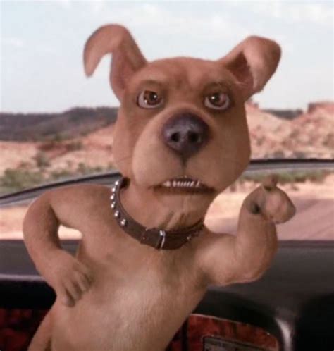Scrappy-Doo (2002) | Villains Wiki | Fandom