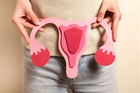 Quanto Custa Um Útero - Quanto custa um útero? Entenda os fatores