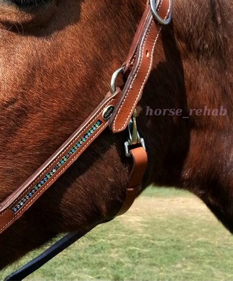 Кожаный недоуздок Heinick RiU для лошади | Horse-Rehab.Ru