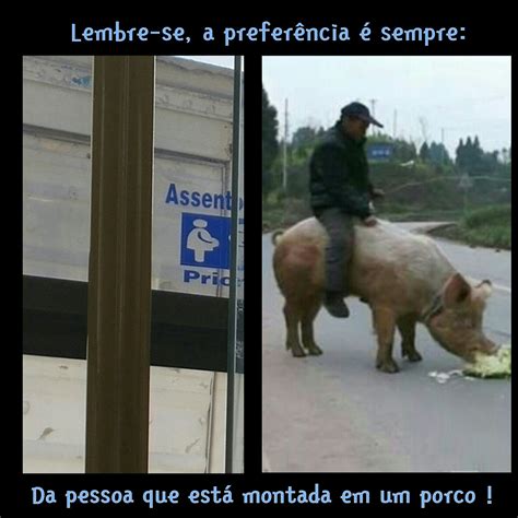 Porco Transa Com Mulher 4