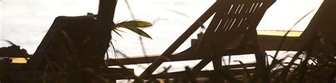 $100 Cheap flights from New York to San José (JFK to SJO) - Expedia.com