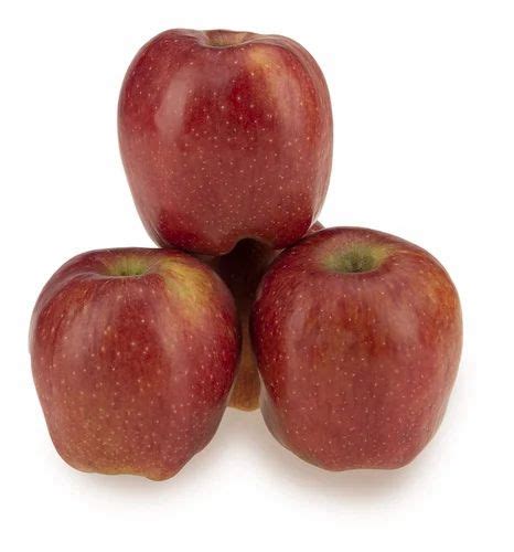 applesfresh applesorganic apples  rs box royal gala apple