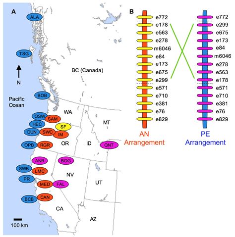 Hogyan alakulnak ki a populációk? - Critical Biomass