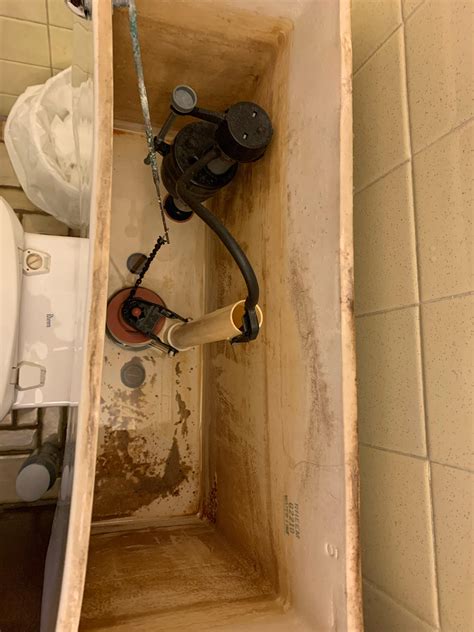 Toilet not filling after water main fix : r/Plumbing
