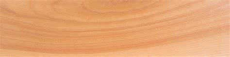 natural hues  beech wood color   appeal  design