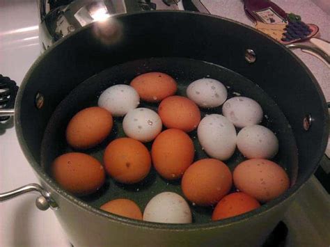 Boiling Eggs with Baking Soda: Everything You Need to Know – Home Kitchen Talk