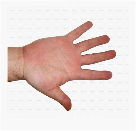 Human Hand Png - Hand Texture , Free Transparent Clipart - ClipartKey