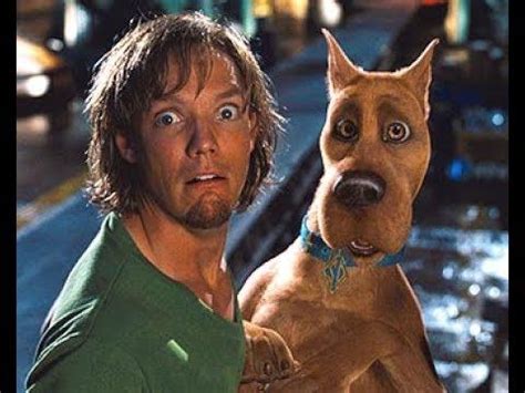 FUNNIEST HIDE AND SEEK MOMENTS | 2022 | Scooby doo movie, Shaggy and