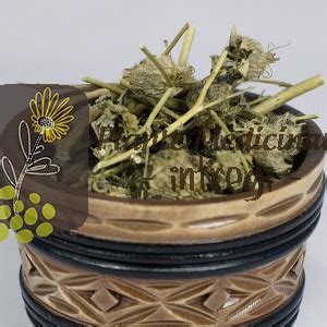 CEAI MASELARITA 20gr.