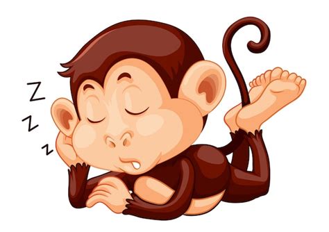 premium vector  monkey sleeping  white background