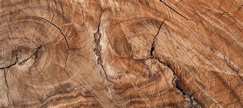 timber species selection guide  elephant timber supplies