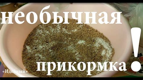 Прикормка для плотвы - YouTube