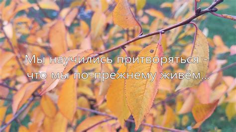 Мы научились притворяться - что мы по-прежнему живём... Олег Нечаянный ...