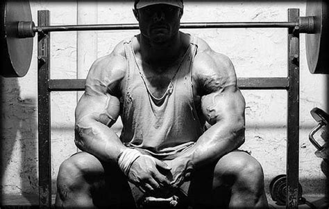 Науката за изграждането на мускули - Блог — FitnesHrani.com