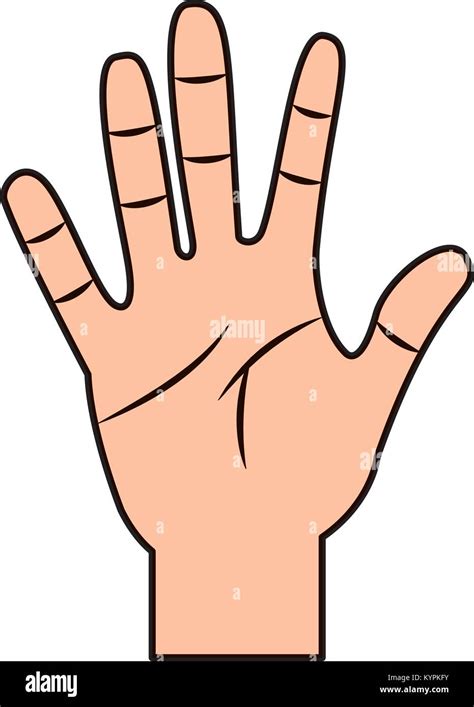 woman hand showing  fingers stock vector images alamy