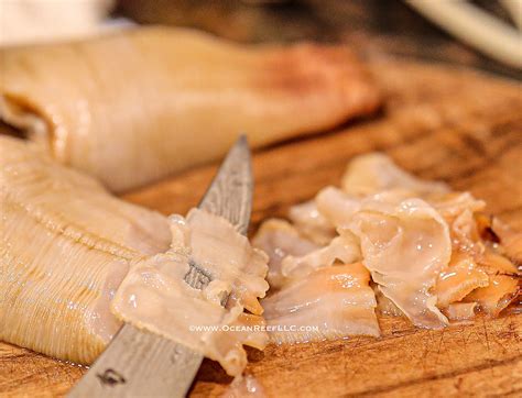 From the Ocean | Ocean To Tables