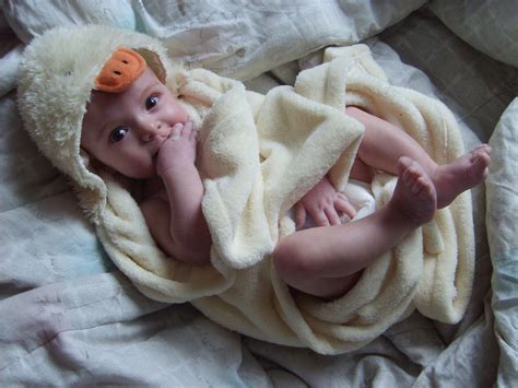 Baby Free Photo Download | FreeImages