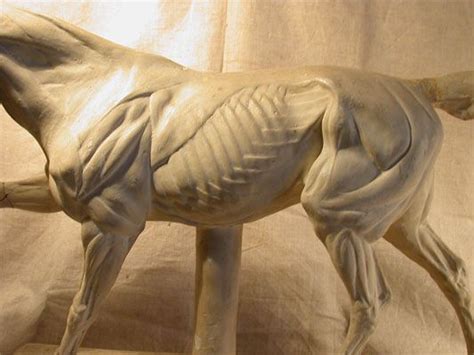 Statue of a Horse in Front of White Background