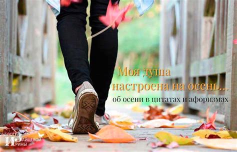 Цитаты и афоризмы про осень красивые со смыслом, короткие