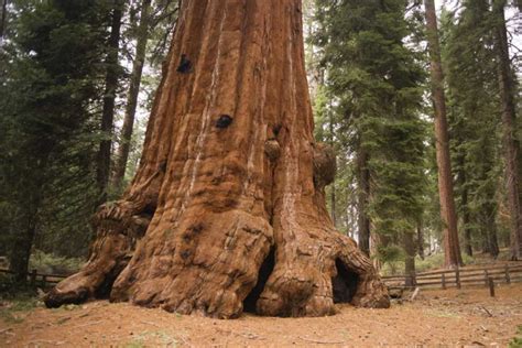 14 Facts About California You Might Not Know - Factopolis