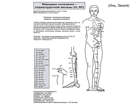 Точечный массаж - презентация онлайн